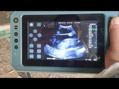 Tragbarer Veterinär-Ultraschallscanner BR-VET8