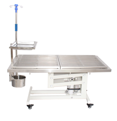 Stainless Steel 304 Electric Veterinary Operating Table Animal Operation Table