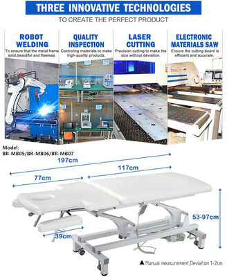 electric facial bed (two motors)